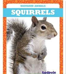 Backyard Animals 41 Backyard Animals: Squirrels -- 绘本听读宝在线台词全文
