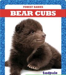 Forest Babies 83 Bear Cubs -- 绘本听读宝在线台词全文