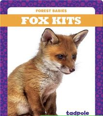 Forest Babies 85 Fox Kits -- 绘本听读宝在线台词全文