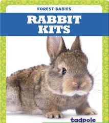 Forest Babies 87 Rabbit Kits -- 绘本听读宝在线台词全文
