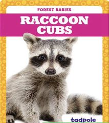 Forest Babies 88 Raccoon Cubs -- 绘本听读宝在线台词全文