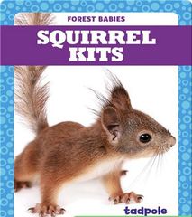Forest Babies 90 Squirrel Kits -- 绘本听读宝在线台词全文
