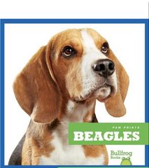 Paw Prints 46 Beagles -- 绘本听读宝在线台词全文