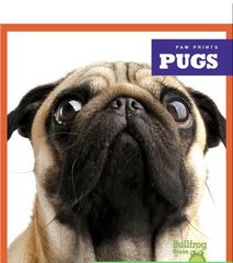 Paw Prints 57 Pugs -- 绘本听读宝在线台词全文