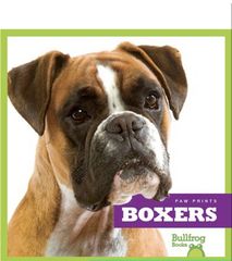 Paw Prints 49 Boxers -- 绘本听读宝在线台词全文