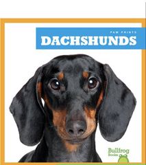 Paw Prints 50 Dachshunds -- 绘本听读宝在线台词全文