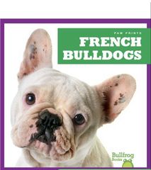 Paw Prints 51 French Bulldogs -- 绘本听读宝在线台词全文