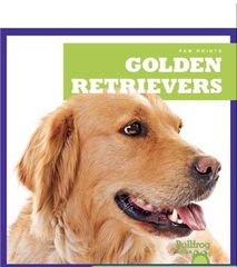 Paw Prints 53 Golden Retrievers -- 绘本听读宝在线台词全文