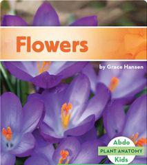 My Community: Vehicles 19 Flowers -- 绘本听读宝在线台词全文