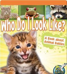 My Science Library K-1 37 Who Do I Look Like_ A Book about Animal Babies -- 绘本听读宝在线台词全文