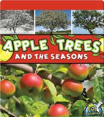 My Science Library K-1 40 Apple Trees and the Seasons -- 绘本听读宝在线台词全文
