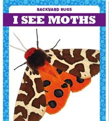 Backyard Bugs 1 I See Moths -- 绘本听读宝在线台词全文