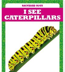 Backyard Bugs 69 I See Caterpillars -- 绘本听读宝在线台词全文