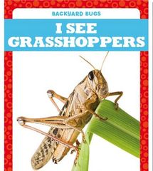 Backyard Bugs 70 I See Grasshoppers -- 绘本听读宝在线台词全文