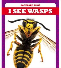 Backyard Bugs 2 I See Wasps -- 绘本听读宝在线台词全文
