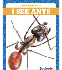Backyard Bugs 19 I See Ants -- 绘本听读宝在线台词全文
