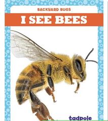 Backyard Bugs 20 I See Bees -- 绘本听读宝在线台词全文