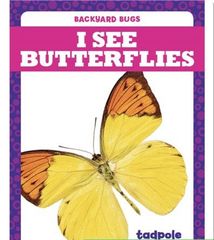 Backyard Bugs 21 I See Butterflies -- 绘本听读宝在线台词全文