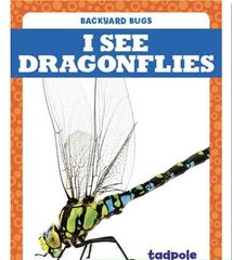 Backyard Bugs 22 I See Dragonflies -- 绘本听读宝在线台词全文