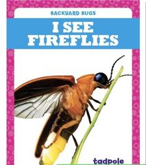 Backyard Bugs 23 I See Fireflies -- 绘本听读宝在线台词全文