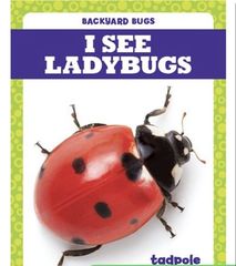 Backyard Bugs 25 I See Ladybugs -- 绘本听读宝在线台词全文