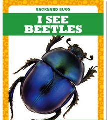 Backyard Bugs 68 I See Beetles -- 绘本听读宝在线台词全文