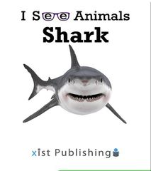 I See Animals 1 I See Animals: Shark -- 绘本听读宝在线台词全文