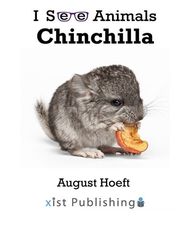 I See Animals 30 I See Animals: Chinchilla -- 绘本听读宝在线台词全文