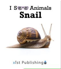I See Animals 4 I See Animals: Snail -- 绘本听读宝在线台词全文