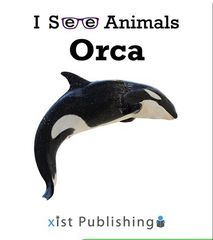 I See Animals 41 I See Animals: Orca -- 绘本听读宝在线台词全文