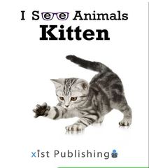 I See Animals 42 I See Animals: Kitten -- 绘本听读宝在线台词全文