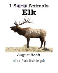 I See Animals 42 I See Animals: Elk -- 绘本听读宝在线台词全文