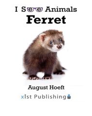 I See Animals 43 I See Animals: Ferret -- 绘本听读宝在线台词全文