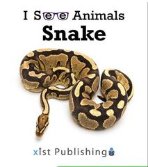I See Animals 5 I See Animals: Snake -- 绘本听读宝在线台词全文