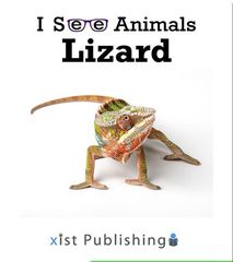 I See Animals 46 I See Animals: Lizard -- 绘本听读宝在线台词全文