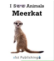 I See Animals 49 I See Animals: Meerkat -- 绘本听读宝在线台词全文