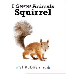 I See Animals 6 I See Animals: Squirrel -- 绘本听读宝在线台词全文