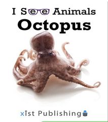 I See Animals 54 I See Animals: Octopus -- 绘本听读宝在线台词全文