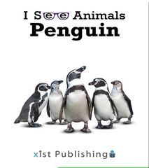 I See Animals 62 I See Animals: Penguin -- 绘本听读宝在线台词全文