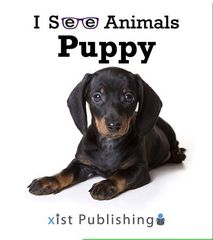 I See Animals 65 I See Animals: Puppy -- 绘本听读宝在线台词全文