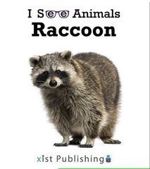 I See Animals 67 I See Animals: Raccoon -- 绘本听读宝在线台词全文