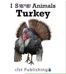 I See Animals 8 I See Animals: Turkey -- 绘本听读宝在线台词全文