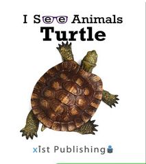 I See Animals 9 I See Animals: Turtle -- 绘本听读宝在线台词全文