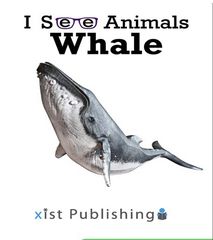 I See Animals 10 I See Animals: Whale -- 绘本听读宝在线台词全文