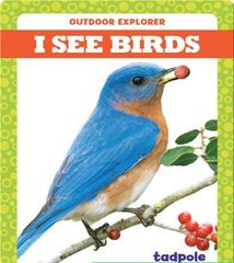 Outdoor Explorer 6 I See Birds -- 绘本听读宝在线台词全文