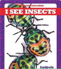 Outdoor Explorer 13 I See Insects -- 绘本听读宝在线台词全文