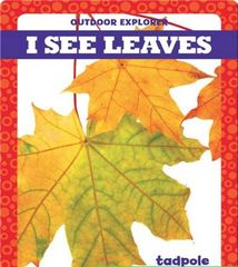 Outdoor Explorer 14 I See Leaves -- 绘本听读宝在线台词全文