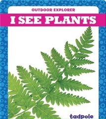 Outdoor Explorer 16 I See Plants -- 绘本听读宝在线台词全文