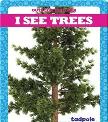 Outdoor Explorer 21 I See Trees -- 绘本听读宝在线台词全文