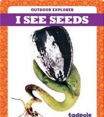 Outdoor Explorer 39 I See Seeds -- 绘本听读宝在线台词全文